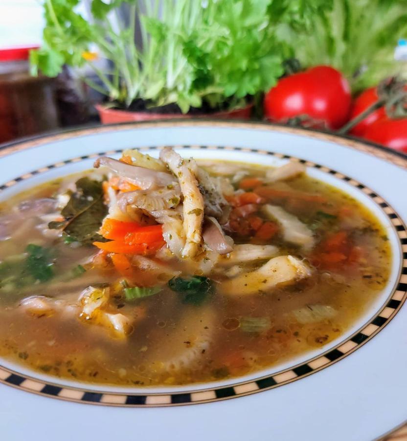 Willa Zamkowisko Golubie Ngoại thất bức ảnh